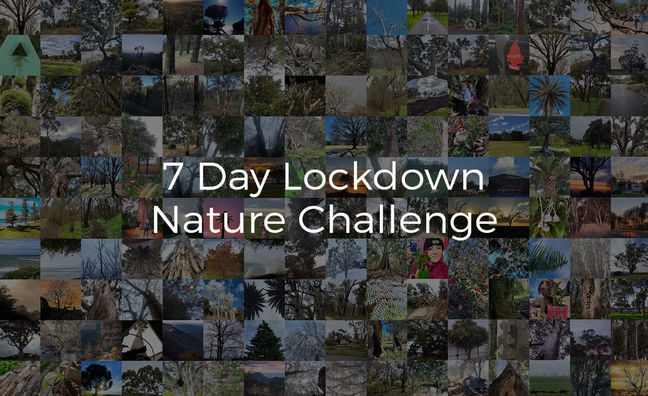 Images from the 7 day lockdown nature challenge