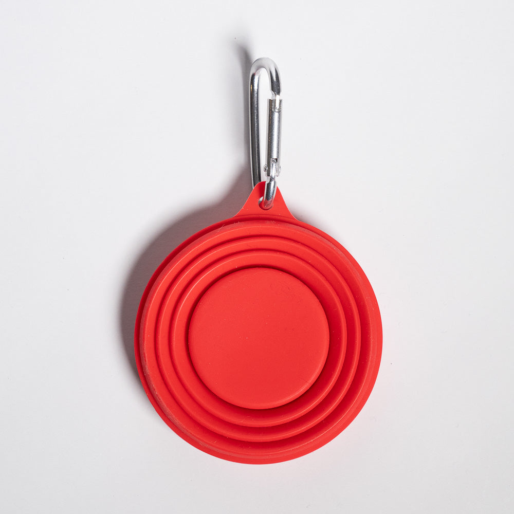 Collapsible Cup with lid