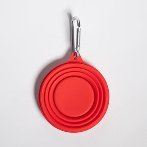 Collapsible Cup with lid