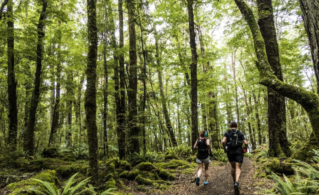 Share Your Adventures