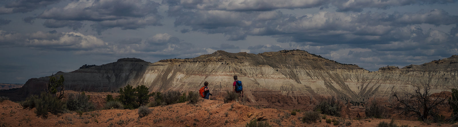 ioMerino X SA Rogaining