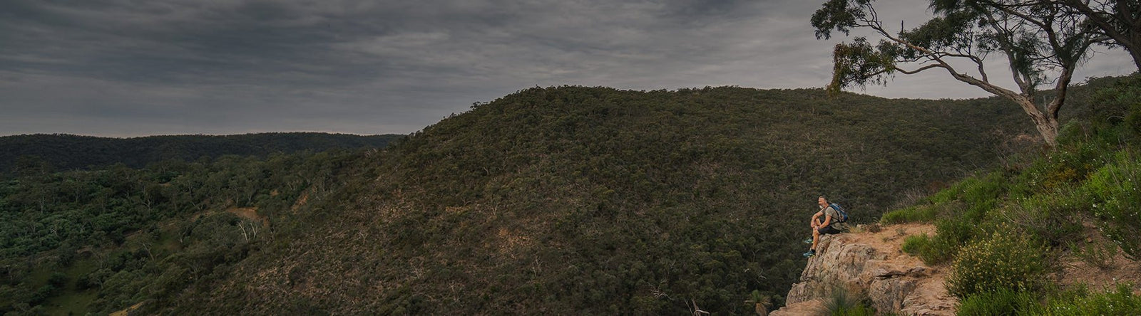Man looking out over the gorge