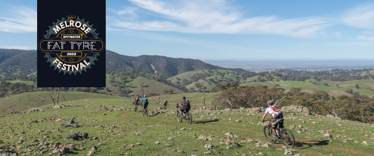 Fat Tyre x ioMerino